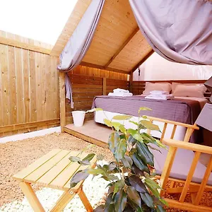 Lemon Tree Urban Camping , FAO Portugal